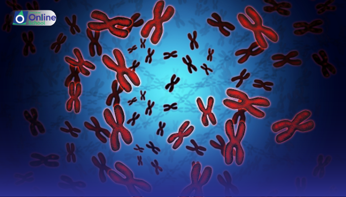 Lesson 01: Critical Analysis of the History of Chromosomal Theory with Reference to Correns’ Work